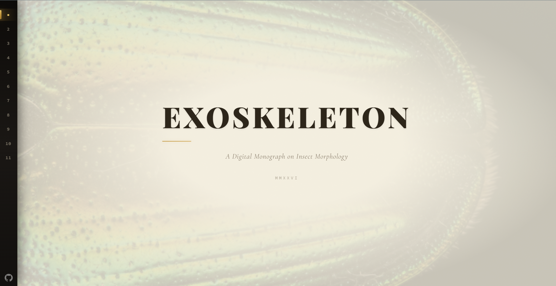 Exoskeleton